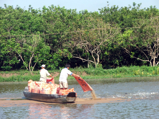 Tăng cường phòng, chống dịch bệnh trong nuôi trồng thủy sản